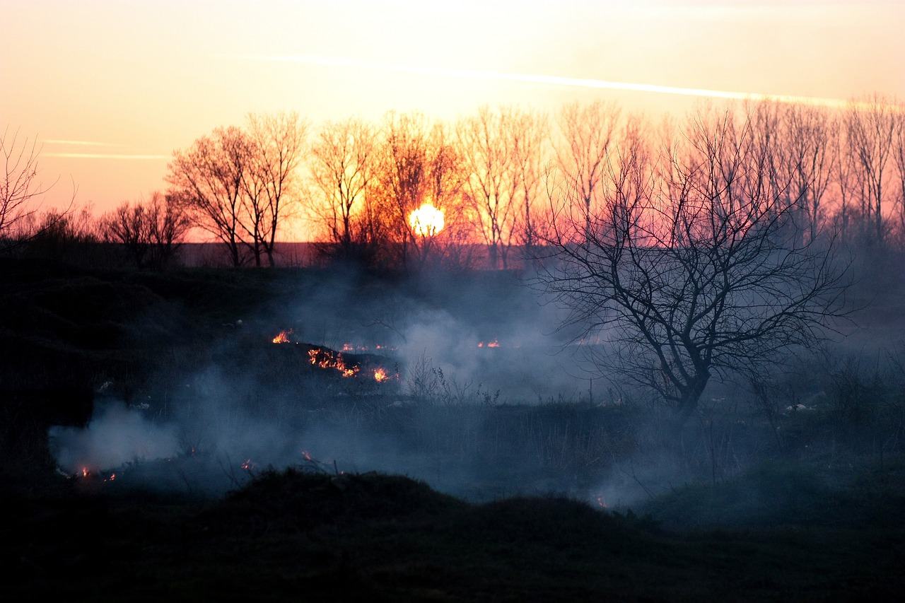 smoke, fire, sunset-1265659.jpg